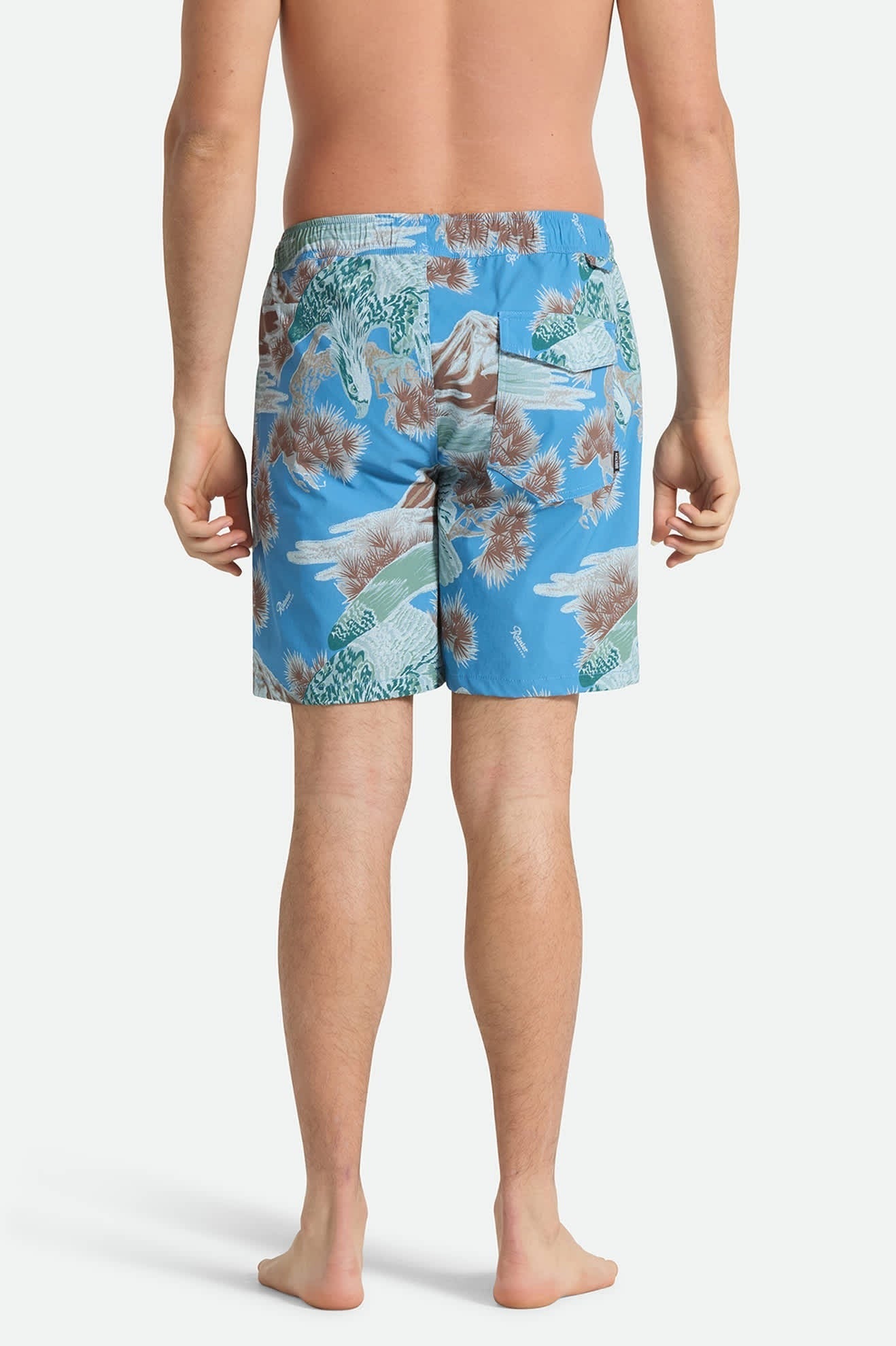 Everyday Stretch Hybrid Short 7" - Blue Sky Rainier
