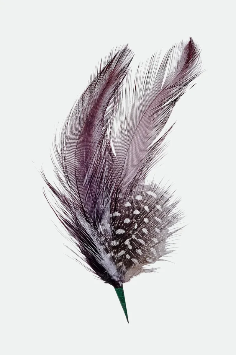 black feather hat burnt henna