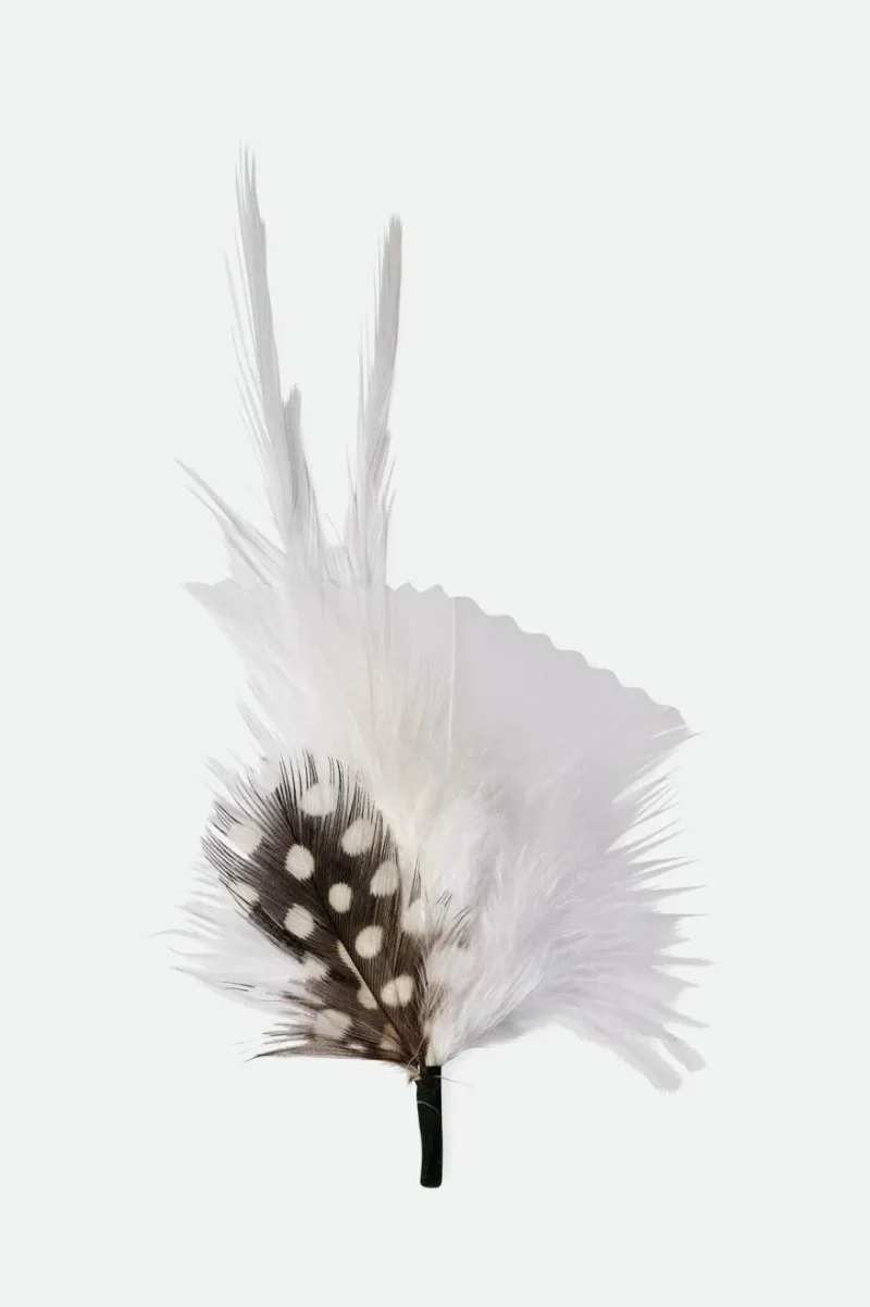 brixton feather hat white black