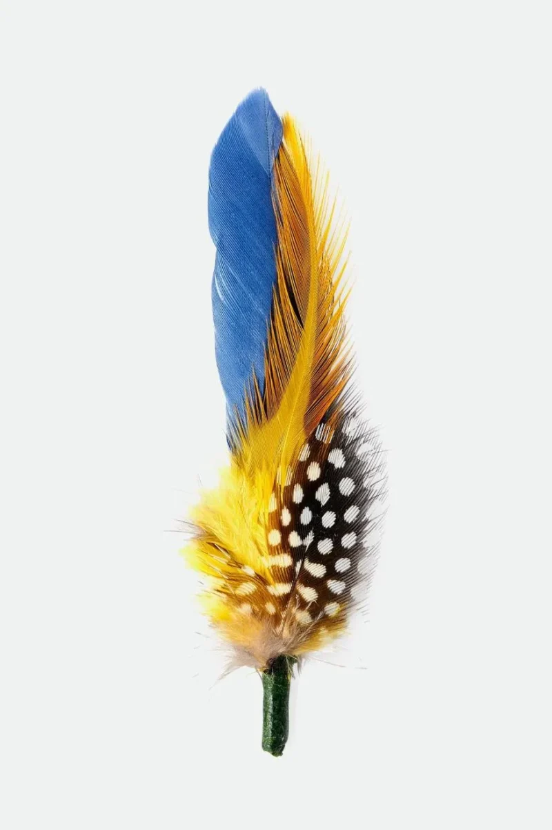 brixton hat with feather joe blue black yellow