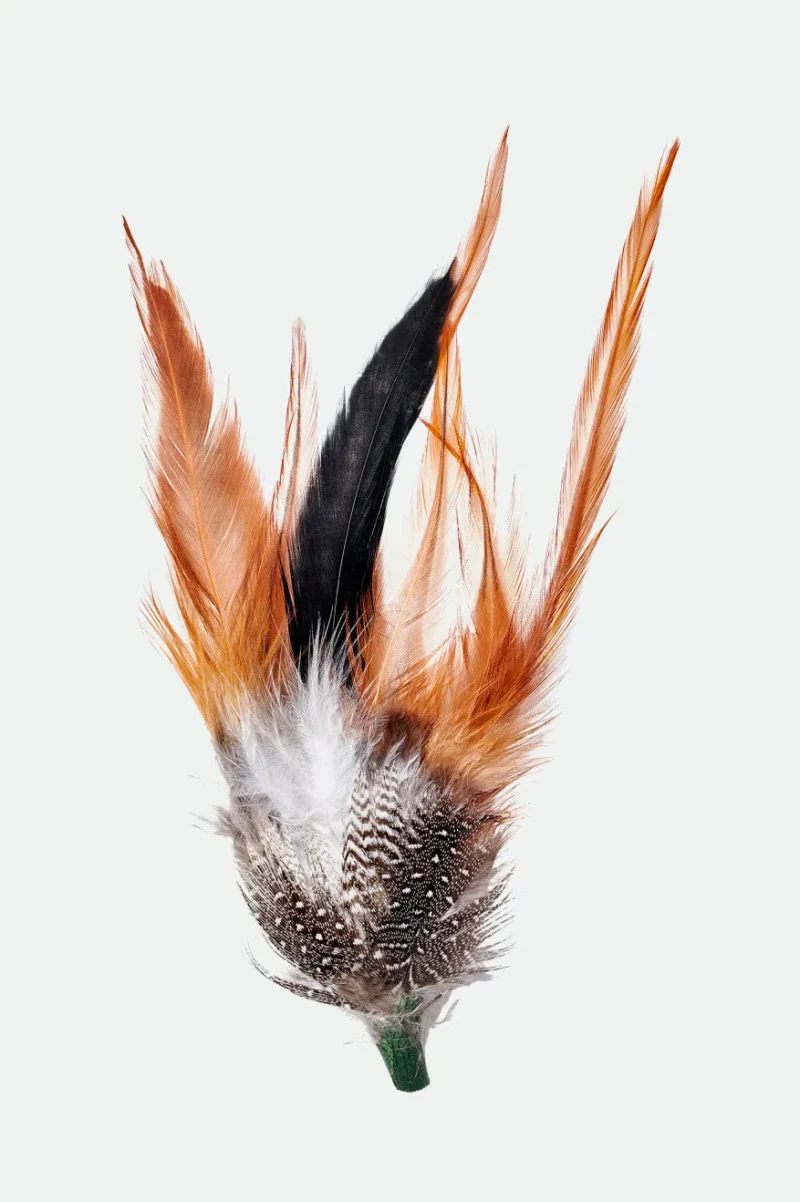 burnt orange feather hat black mahogany